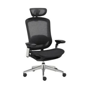 CeliniChair Executive Mesh Ergonomic Office Chair by EFFDESK - Black by Level Up Desks