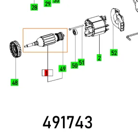 Festool, Armature 230V Ts 55 Ebq, FES491743