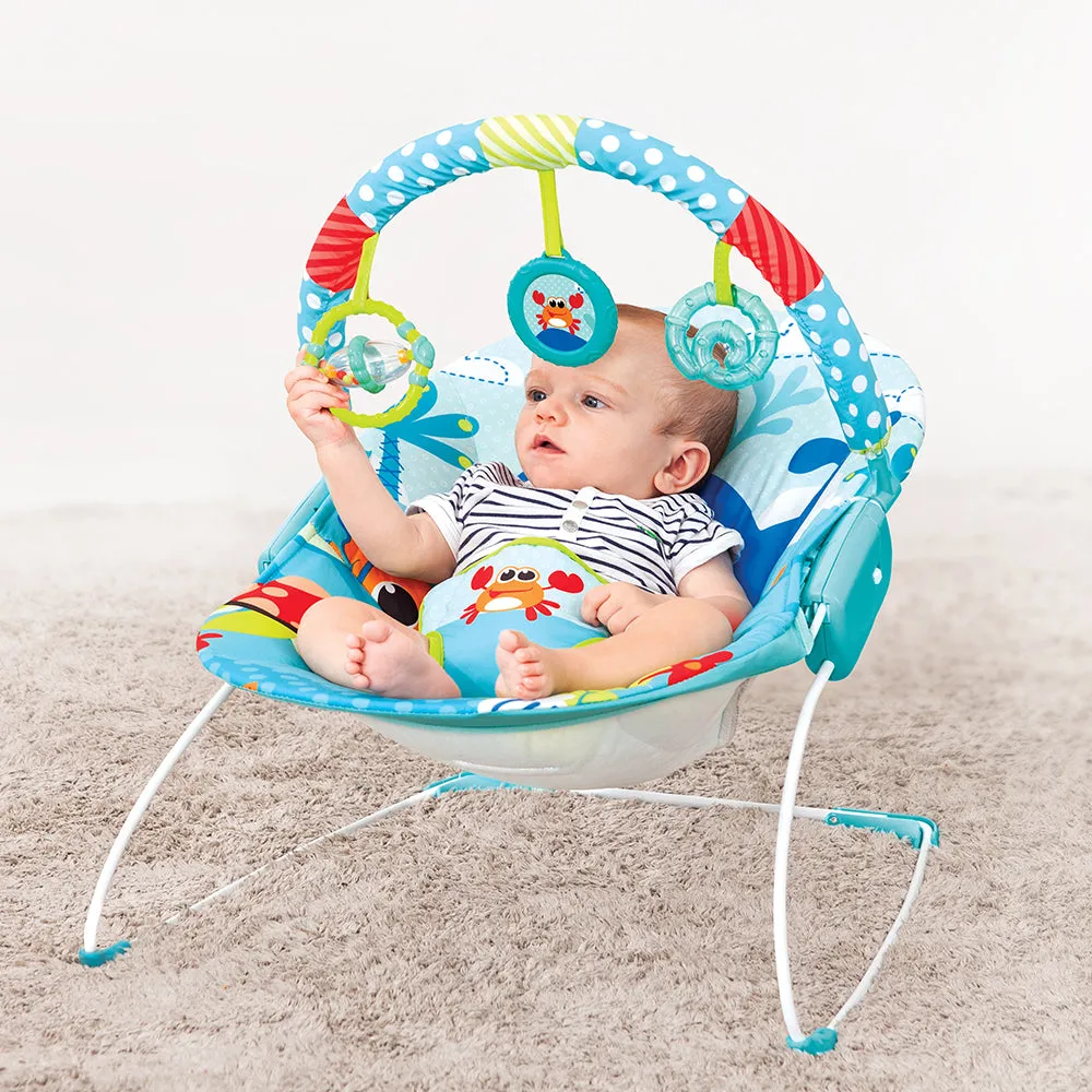 Mastela Music Vibrations Bouncer 3months to 12months = Distressed Box