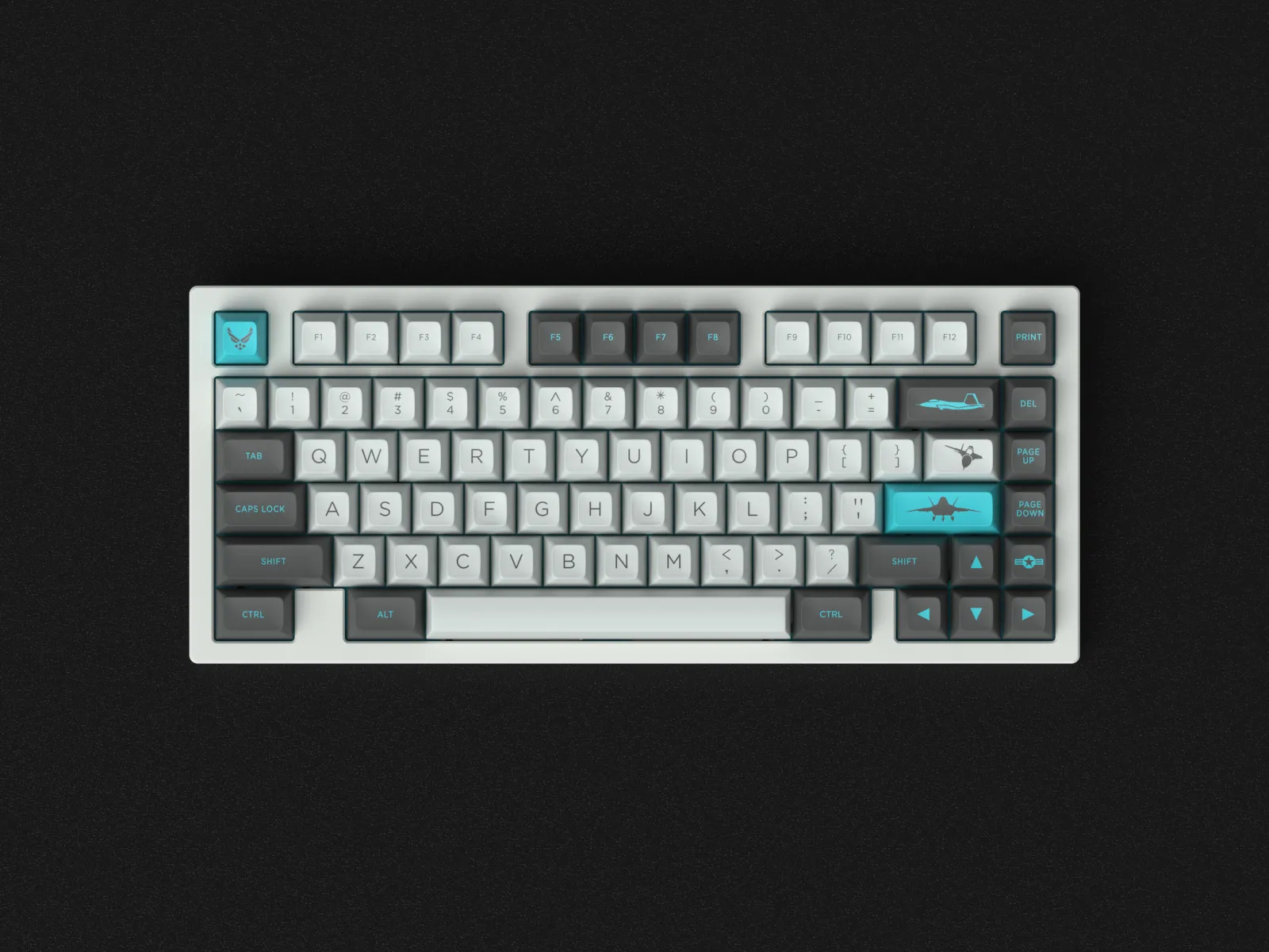 Maxkey F-22