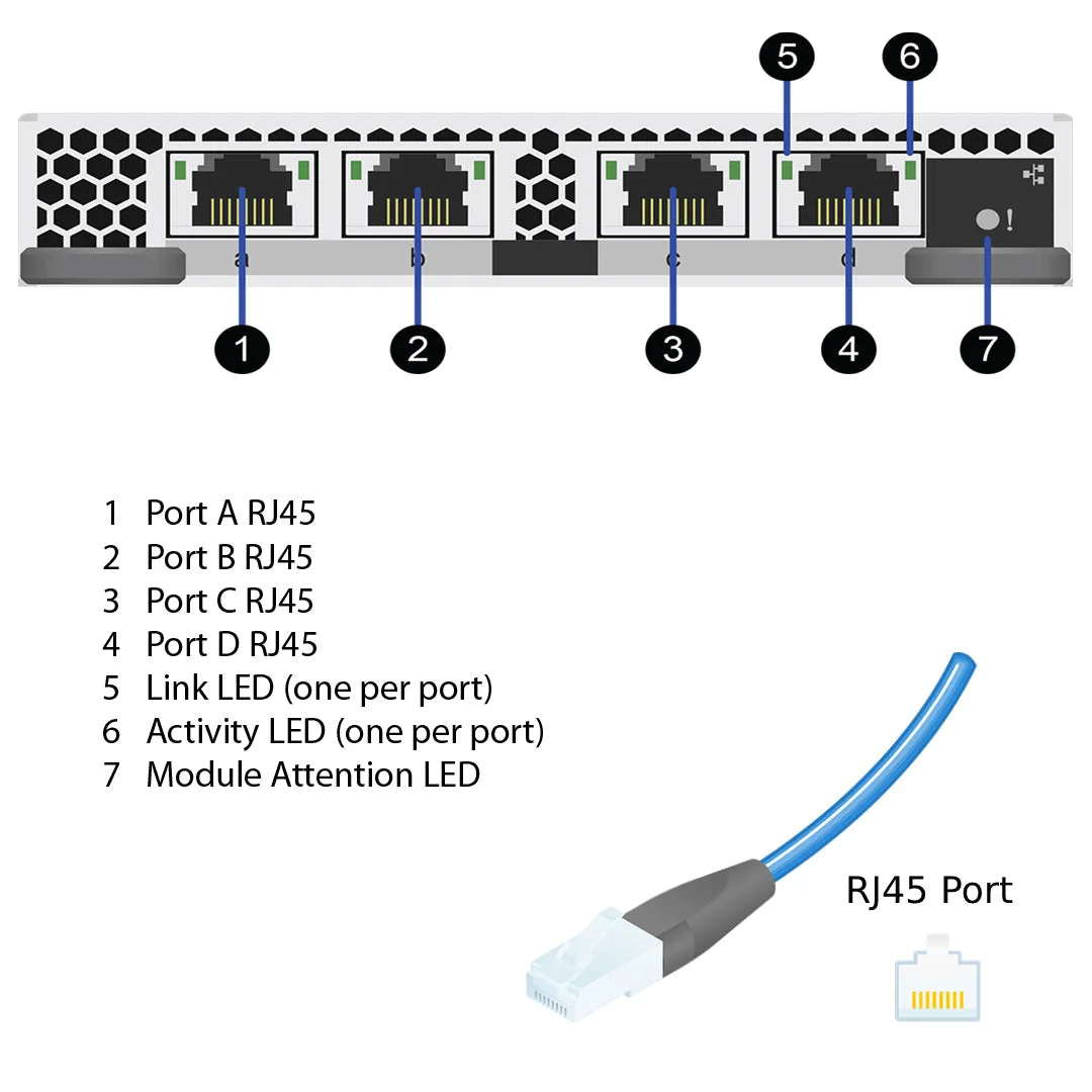 NetApp Adapter X91120A (ONTAP) IO Module bus with plug RJ45 (4p 10GBASE-T NIC)