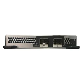 NetApp Adapter X91122A (ONTAP) IO Module bus with plug SFP28 (2p 25GbE, SFP28, gen3x8, RoCE)